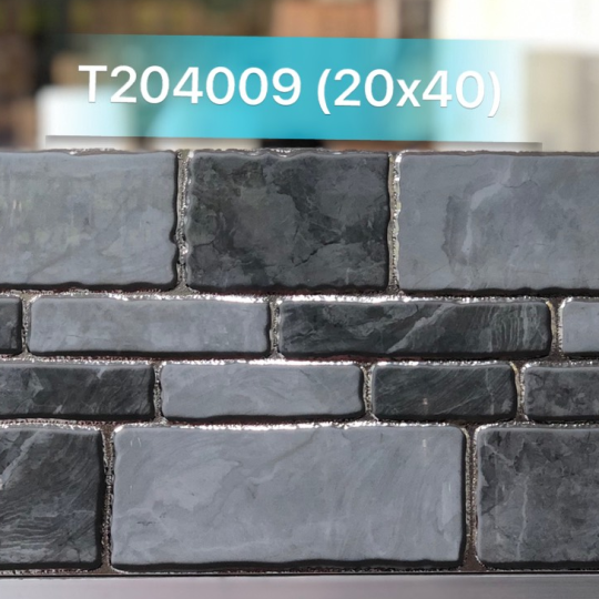 GẠCH TRANG TRÍ 20X40 ĐÁ VI TINH NHŨ BẠC T204009