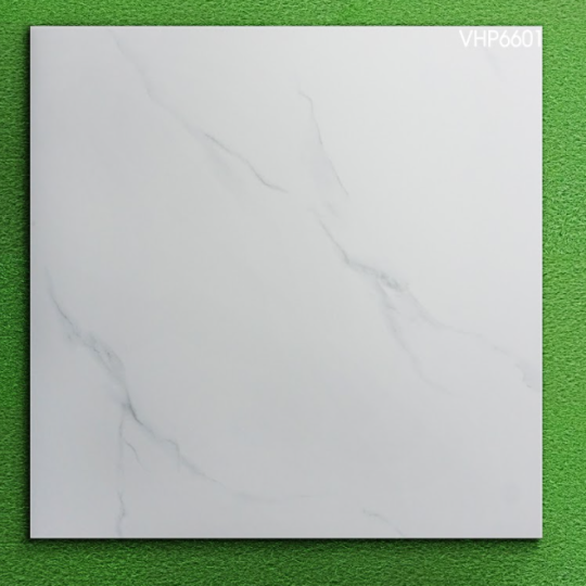 GẠCH LÁT NỀN 60X60 VIGLACERA VHP6601
