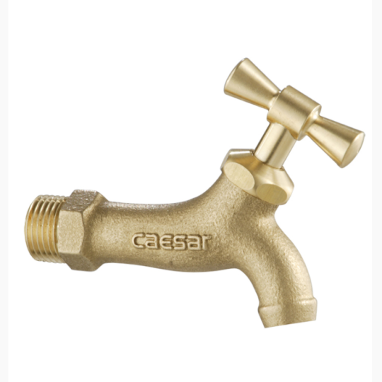 VÒI LẠNH GẮN TƯỜNG CAESAR W034 (Ø21)